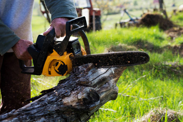 Best Pest Control for Lawns  in Oroville, CA